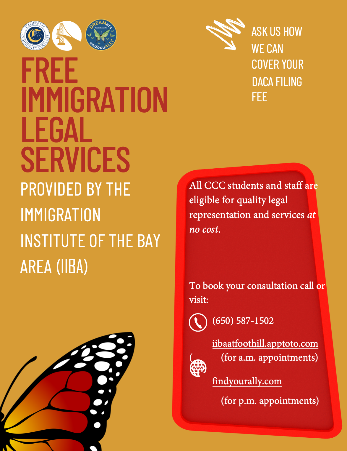 IIBA flyer