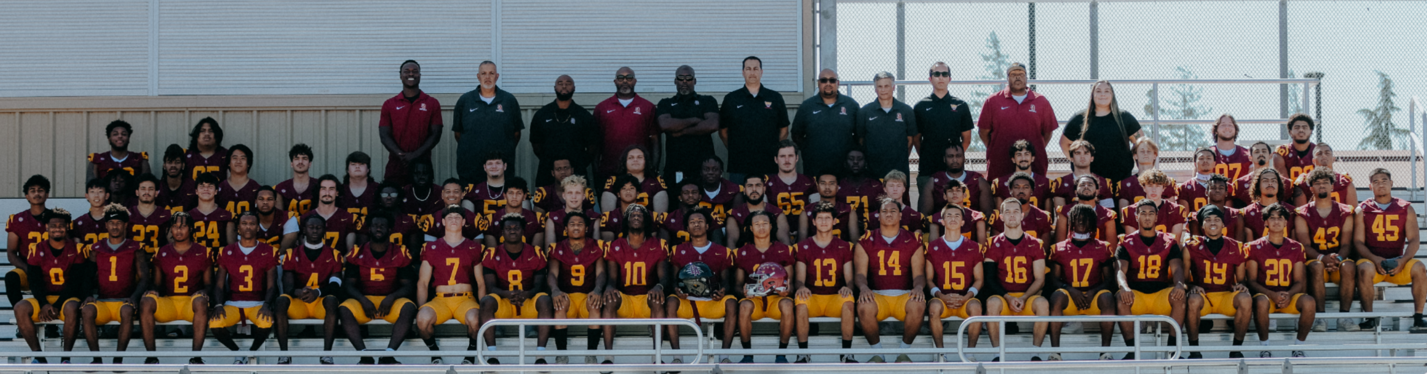 football team lined up in rows