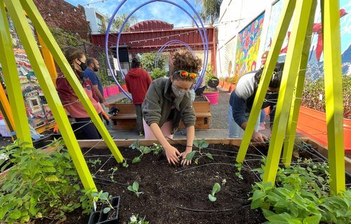 woman planting in soil